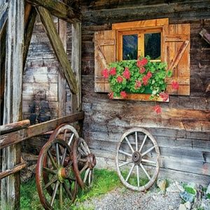 Meet your Posher, Crystal